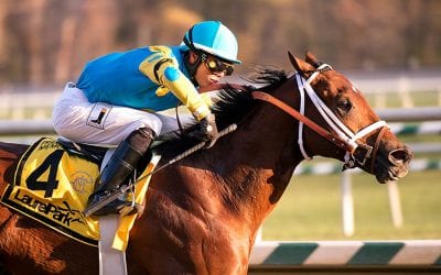 Weekend stakes roundup
