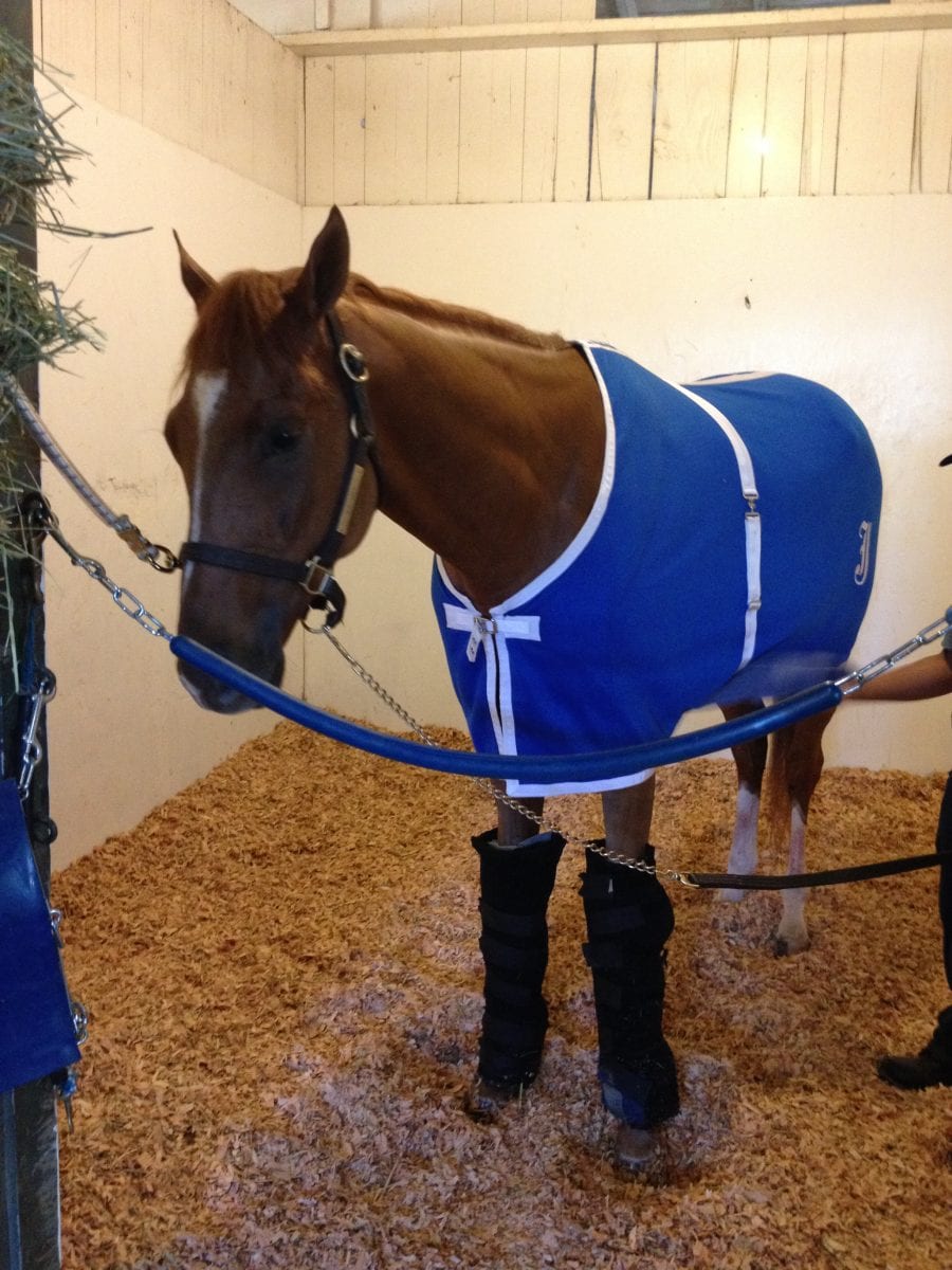 V. E. Day in 2014 awaits his next big racing day. Photo by Lauren Woolcott. veday