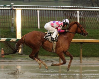 eighttofasttocatchjennings14asseo