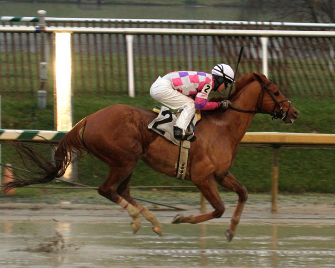 eighttofasttocatchjennings14asseo