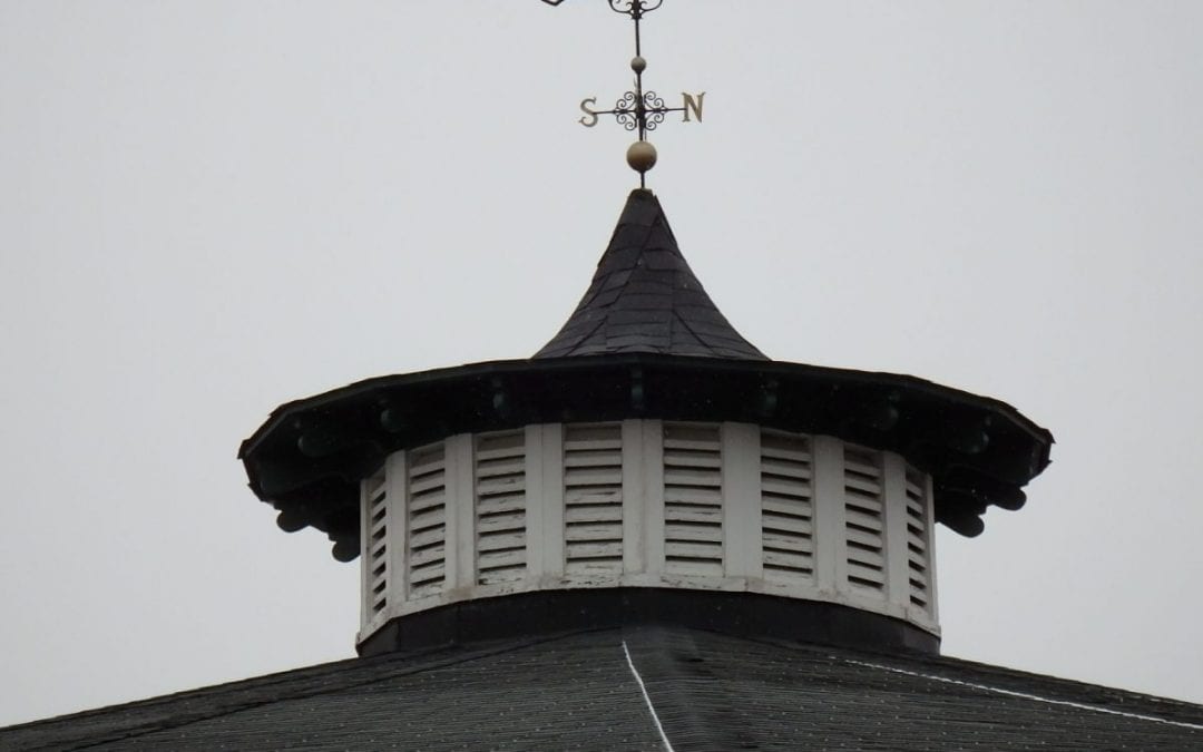 MTROA expects quick resolution to license transfer issue