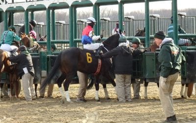 Jockey Club releases 2018 Fact Book