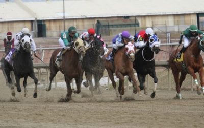 Midlantic racing commissions cast wary eye at testing lab