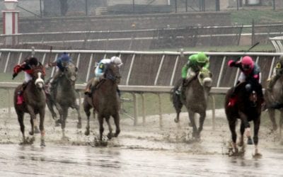 Laurel Park cancels half of Friday card
