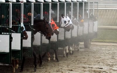 Thoroughbred Owner Conference delayed to 2021