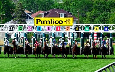 The 12 days of… Pimlico?