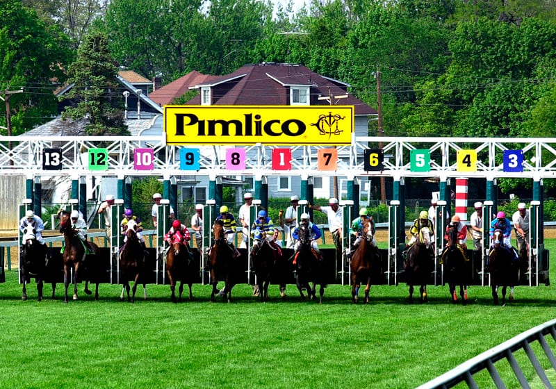 pimlicostartinggatemccue