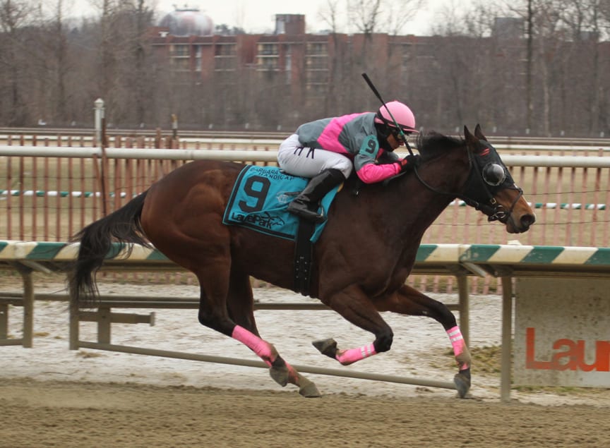 Lady Sabelia makes winning return to the races