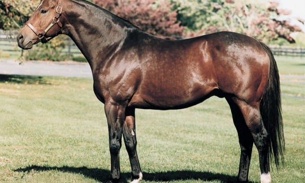 Top Maryland sire Not for Love pensioned