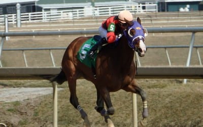 Opinion: It’s time for Maryland-bred racing