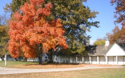 Meadow Stable memorabilia to be exhibited