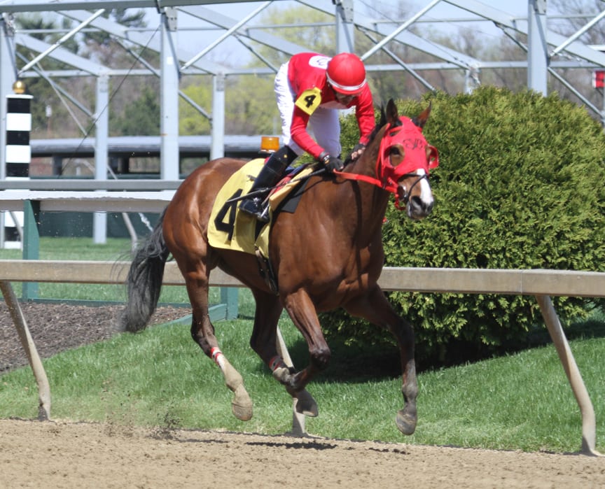 Shippers look to hold the cards in White Alley
