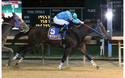 Star WV-bred Down Town Allen euthanized