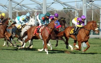 In Maryland, jockey concussion protocols a “fantastic” step