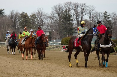 Pimlico post parade