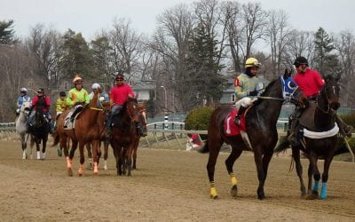 Maryland to have stricter pre-race exams