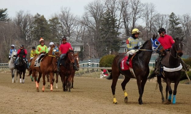 Maryland to have stricter pre-race exams