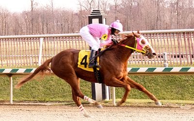 Stellar Wind, Dame Dorothy head Top Midlantic-bred Poll