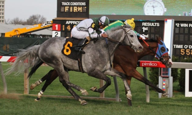 G2 winner Pixelate heads Henry S. Clark Stakes