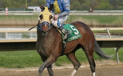 Power of Snunner looks to rediscover early zip in Obeah