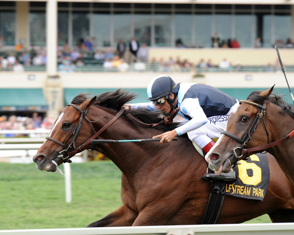 Grade 2 Dixie tops Preakness undercard