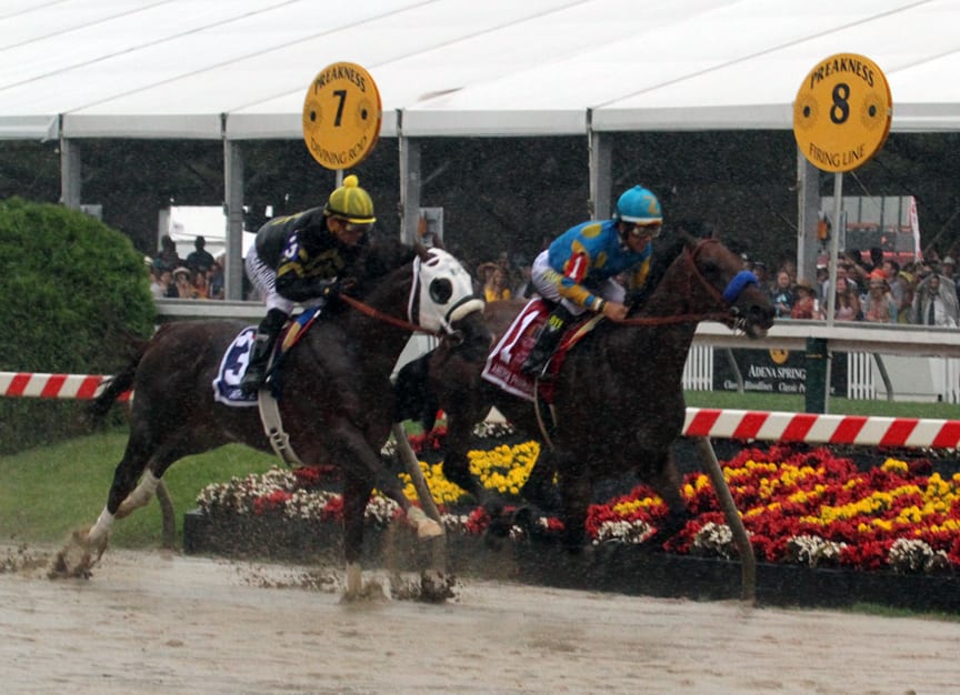 americanpharoah firsttimeby