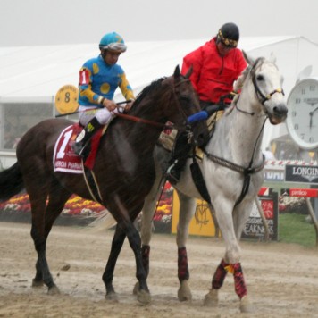 americanpharoah preakness-1902