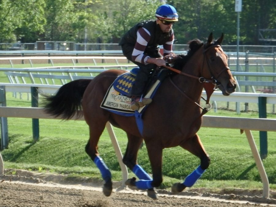 Preakness profiles: American Pharoah