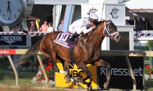 Noble Bird aims to soar above Special competition