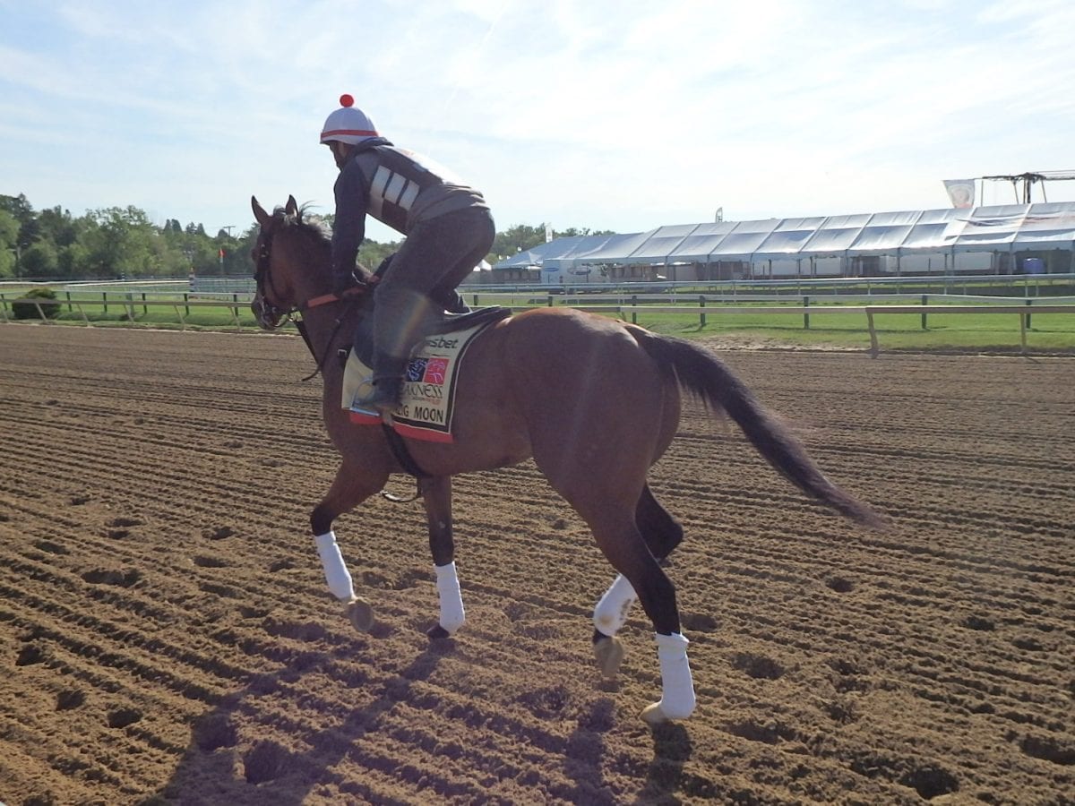 Preakness profiles: Danzig Moon