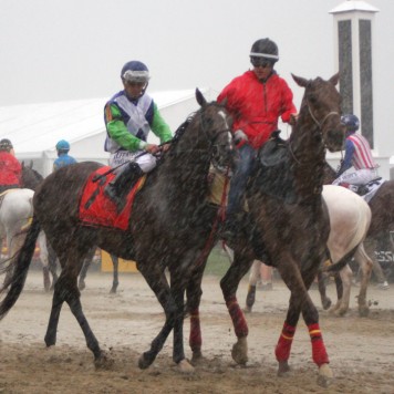 diviningrod postparade