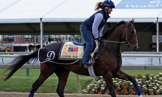 G3 winner Divining Rod makes season bow in Polynesian