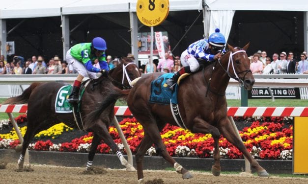 Asmussen loaded for Preakness weekend bear