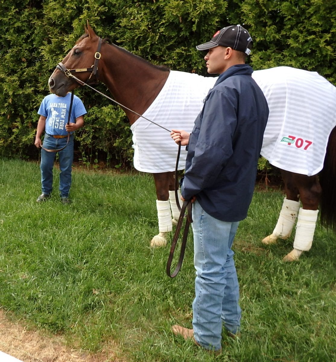 Preakness profiles: Mr. Z