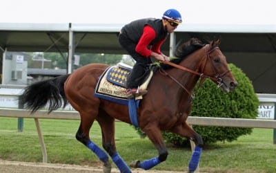 Thoroughbred Aftercare Alliance honorary Preakness postmaster