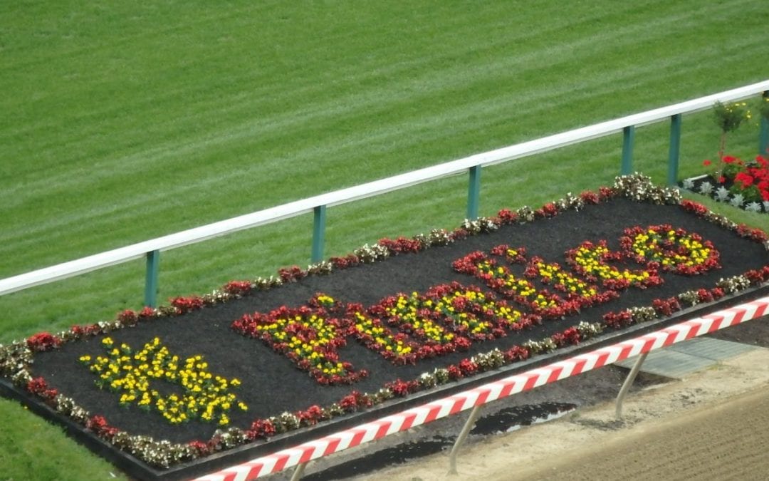 National Thoroughbred League to head to Pimlico, Parx