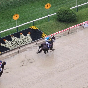 preakness4