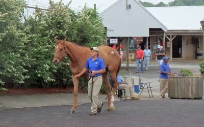 Fasig-Tipton: Day one sales nearly $3 million