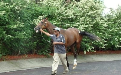 Wanamaker’s December catalog now available