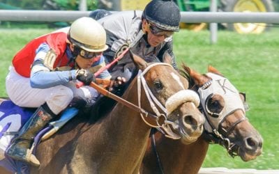 Delaware Park to have athletic trainer on-site