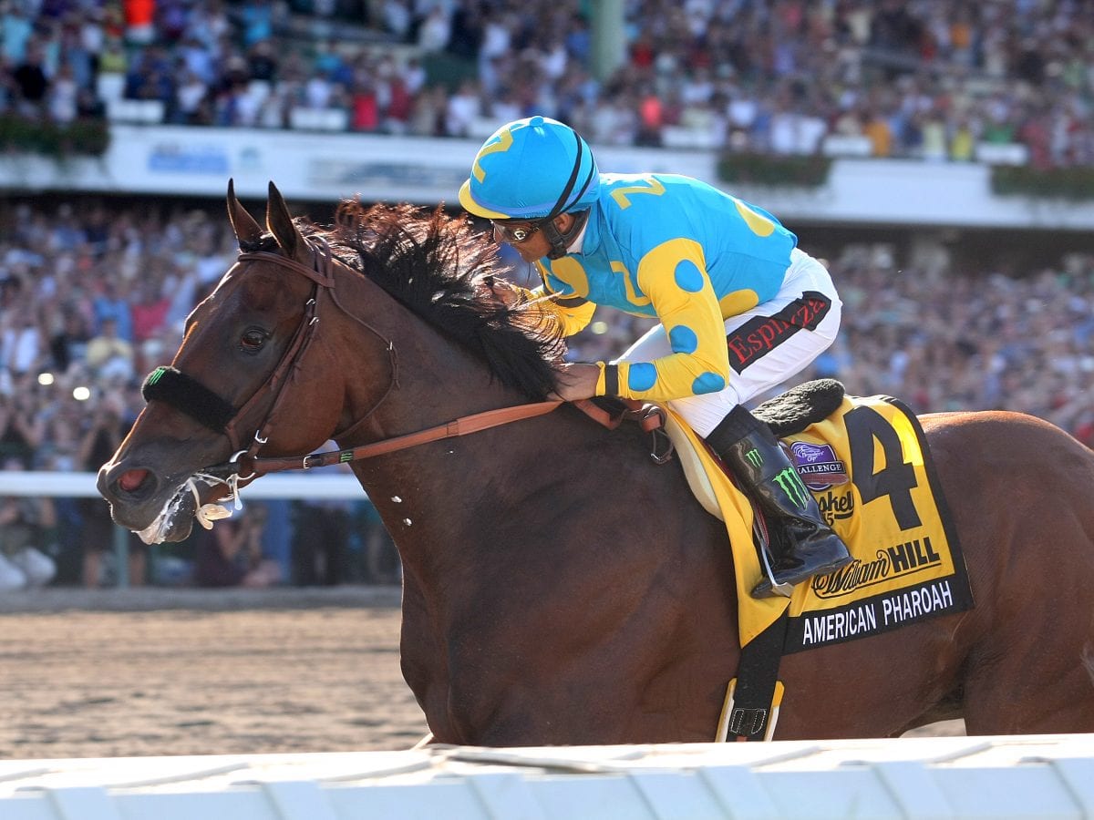 10 memorable Haskell Stakes moments