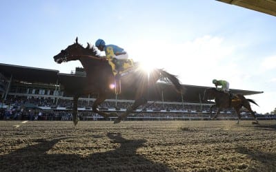 On track and in breeding shed, NJ Thoroughbred industry faces challenges