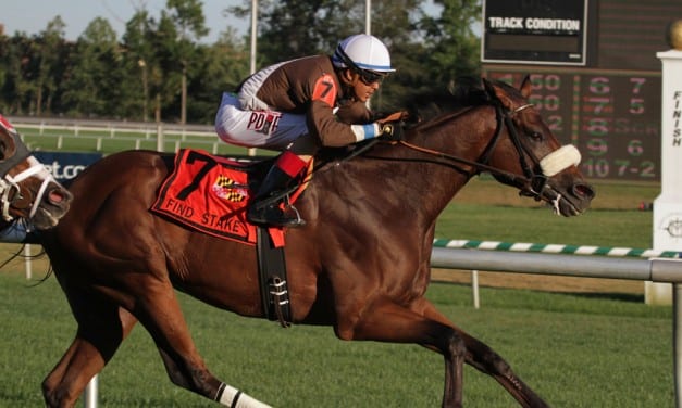 Improving Phlash Phelps tops Million Turf