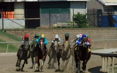 Strong Owners’ Day hand for Graham Motion