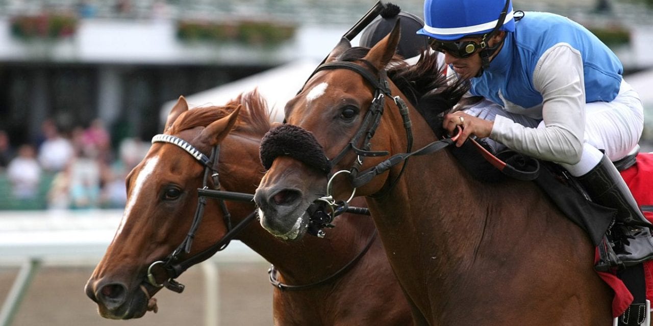 Absence of Ben’s Cat opens Laurel Dash door wide