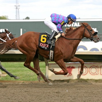 09-26-15 P 08 Full Salute FIN 01(1)