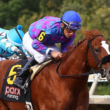 09-26-15 P 08 Full Salute FIN 02