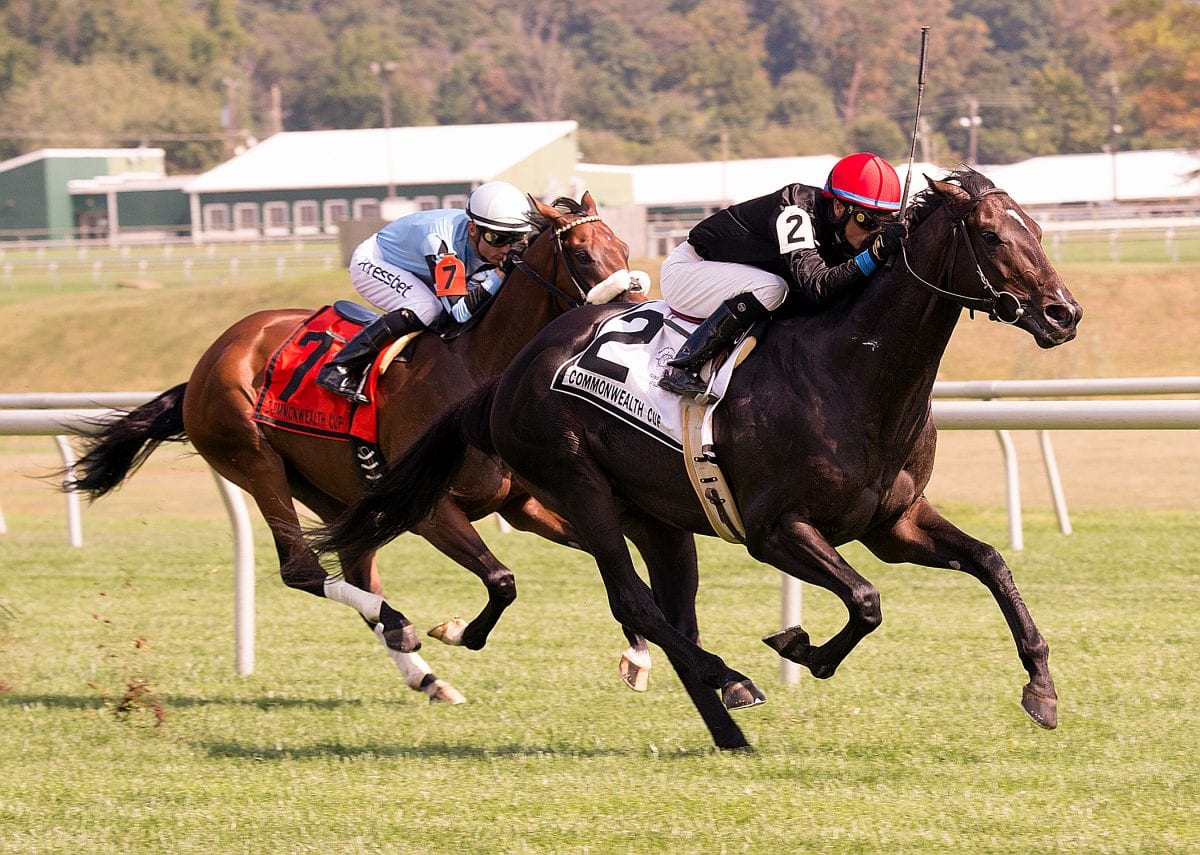 Mr Speaker scores in Commonwealth Cup