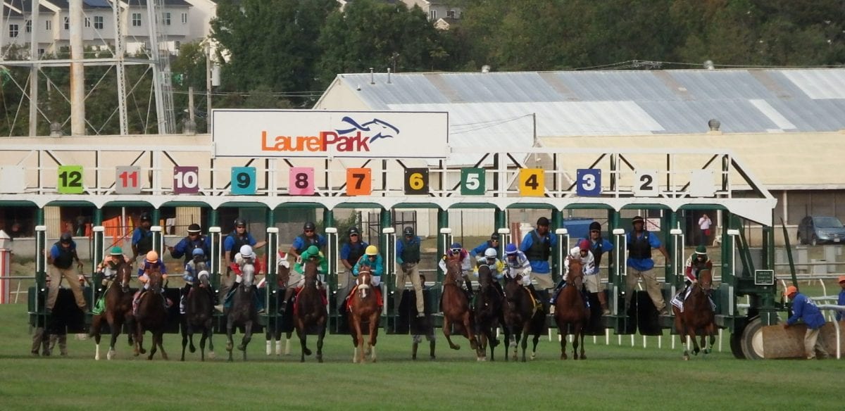 Weekend’s Midlantic stakes winners