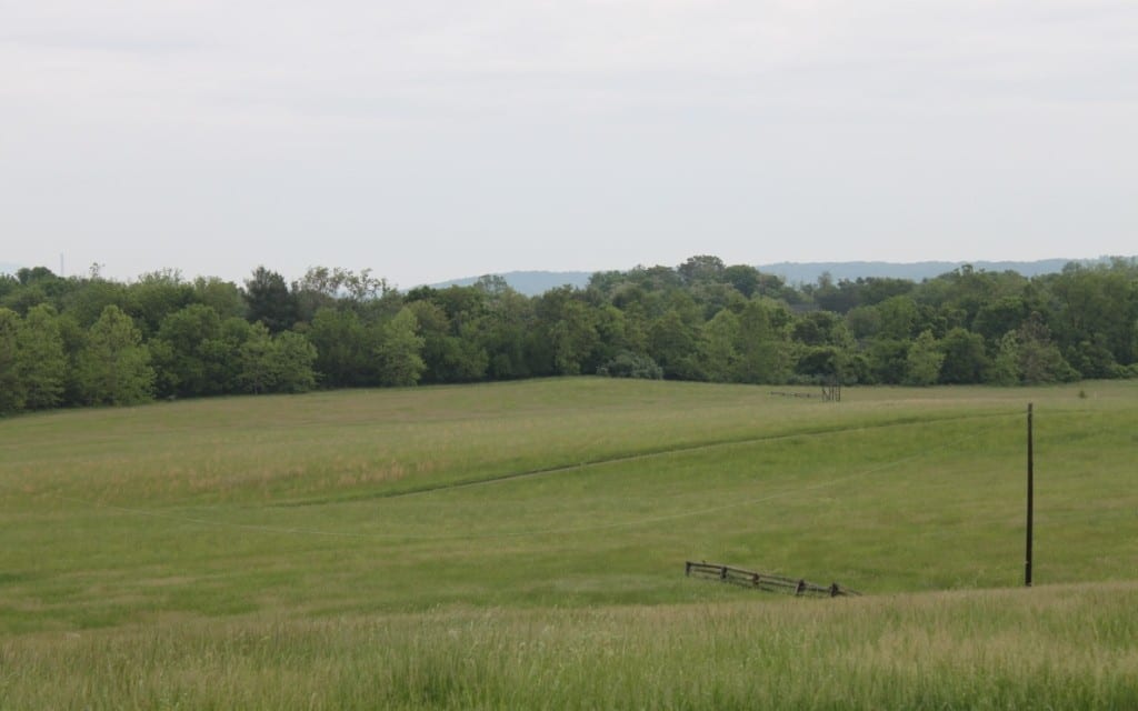For Virginia racing, Morven Park is back to the future